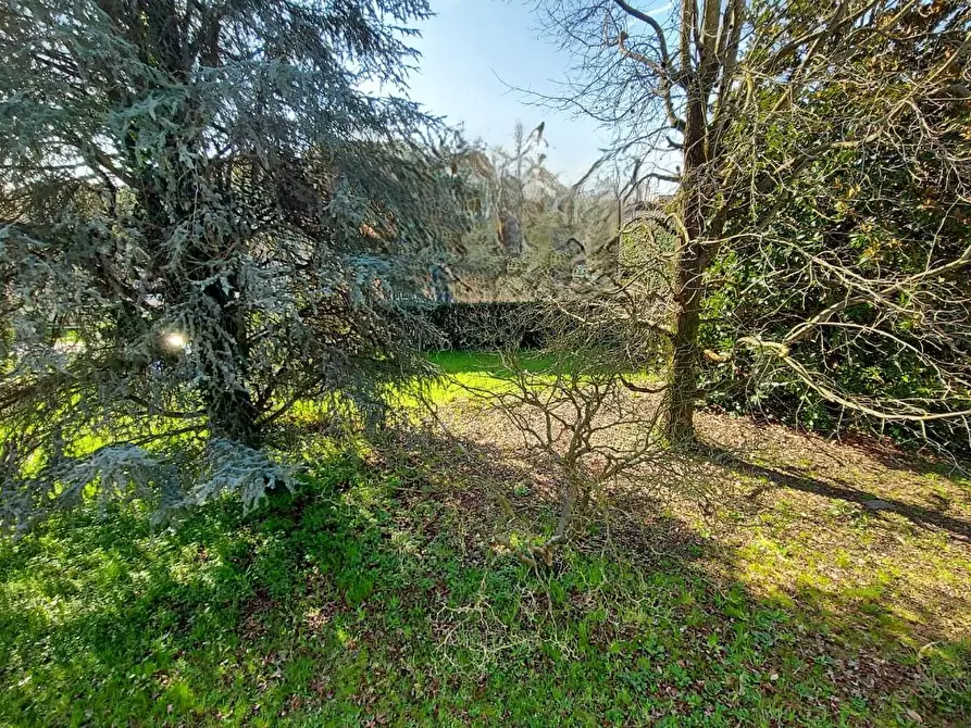 Immagine 11 di Villa in vendita  a Lucca