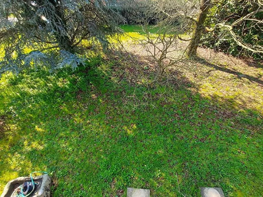 Immagine 10 di Villa in vendita  a Lucca