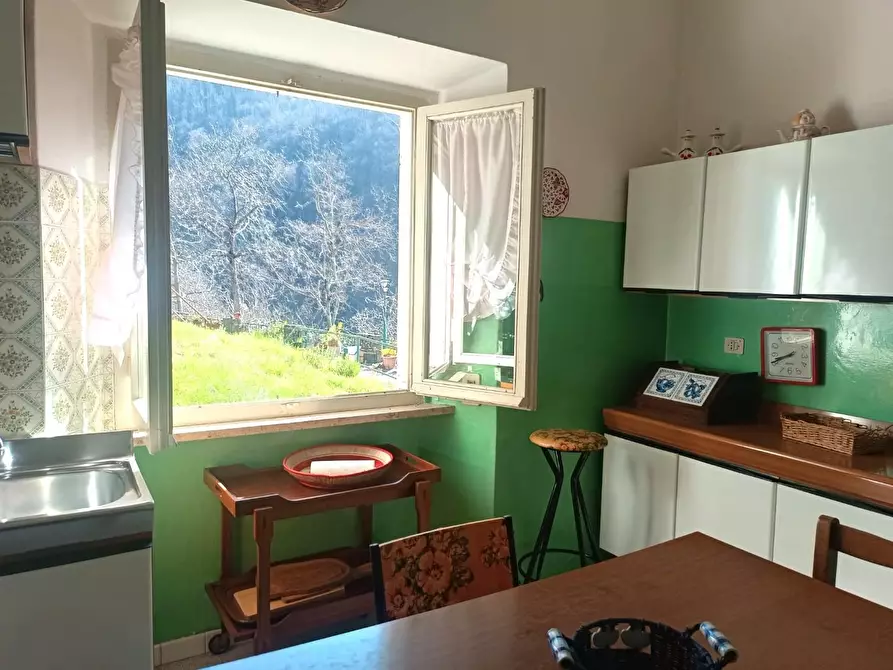 Immagine 12 di Casa indipendente in vendita  a Sillano Giuncugnano