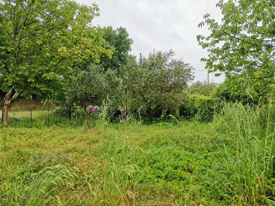 Immagine 5 di Terreno agricolo in vendita  a Poggibonsi