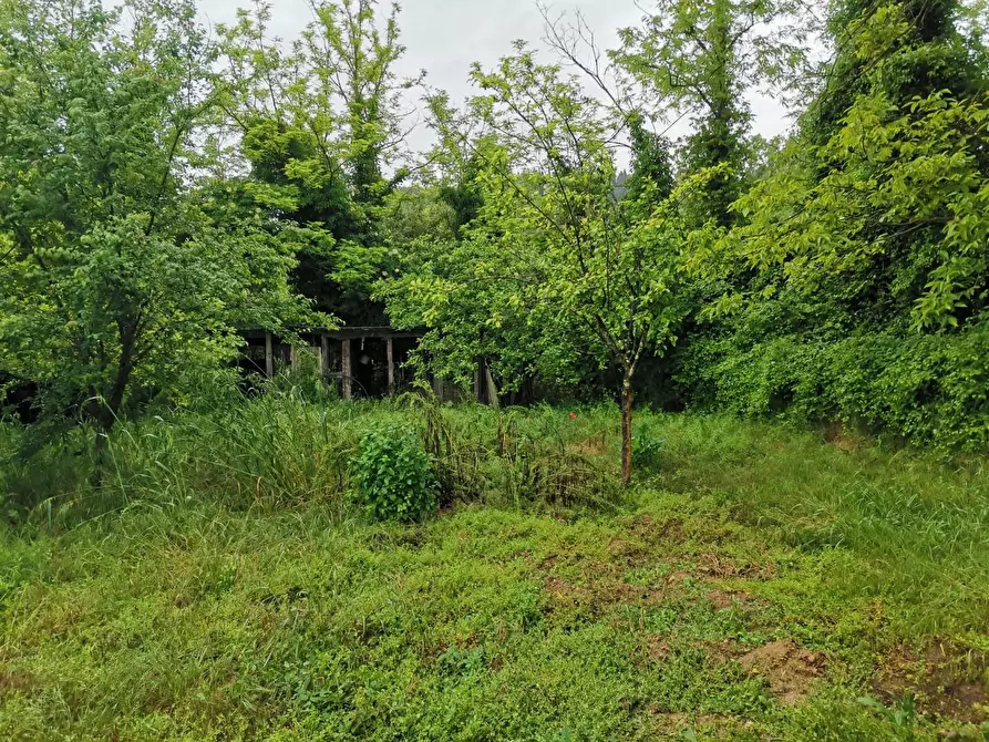 Immagine 8 di Terreno agricolo in vendita  a Poggibonsi