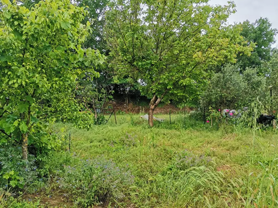 Immagine 4 di Terreno agricolo in vendita  a Poggibonsi