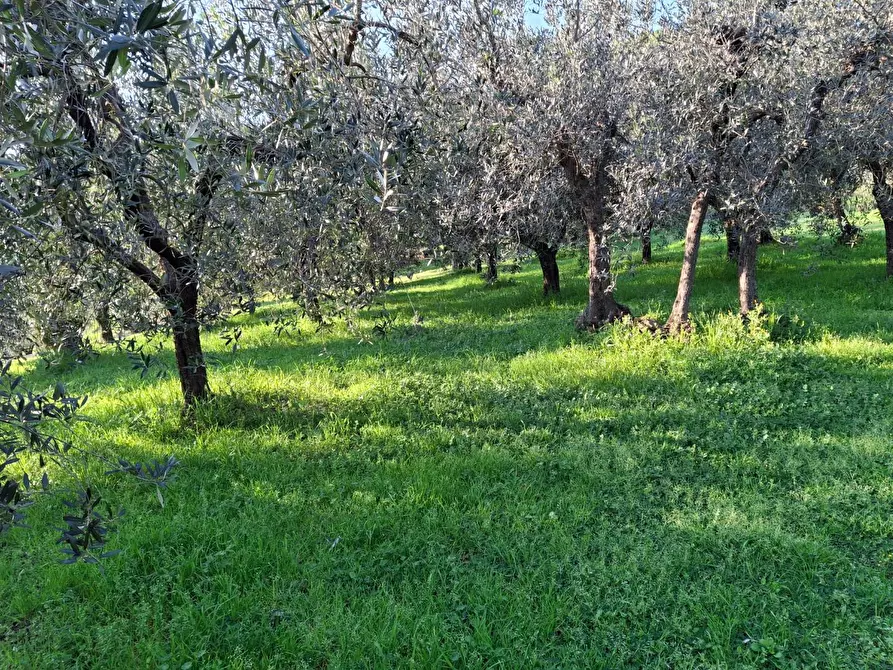 Immagine 24 di Porzione di casa in vendita  a Vinci