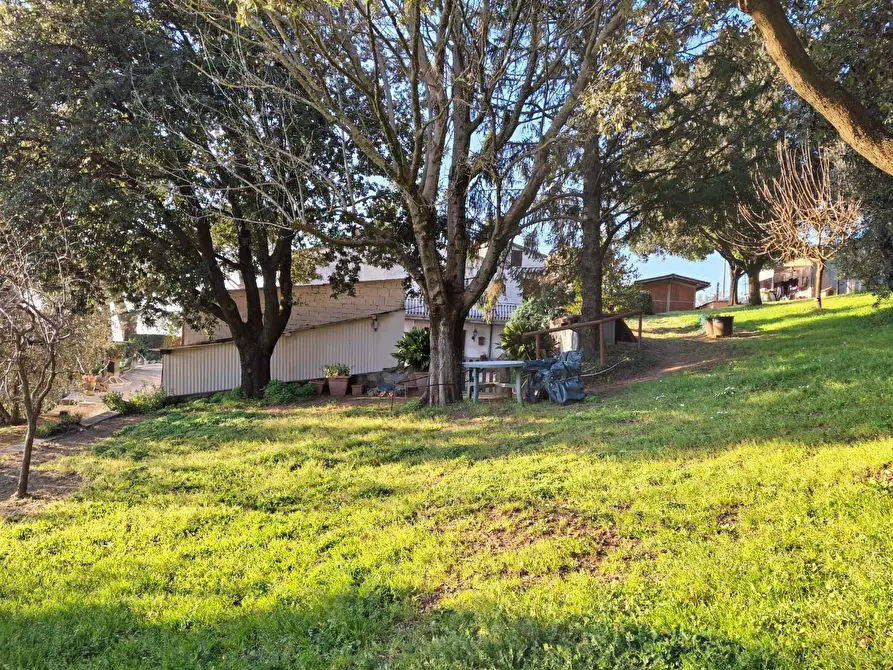 Immagine 23 di Porzione di casa in vendita  a Vinci