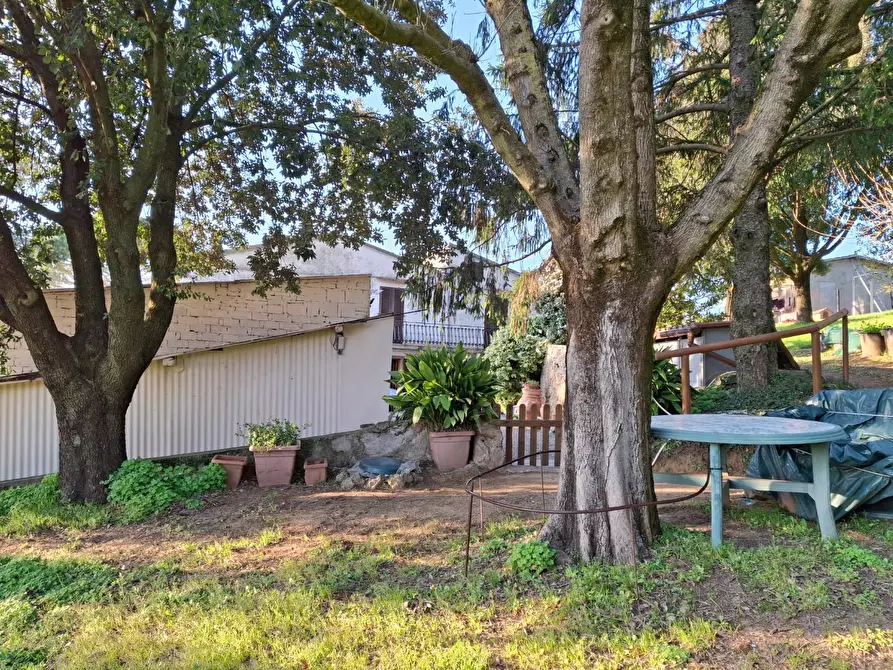 Immagine 21 di Porzione di casa in vendita  a Vinci