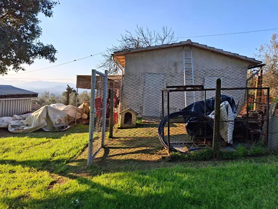 Immagine 26 di Porzione di casa in vendita  a Vinci