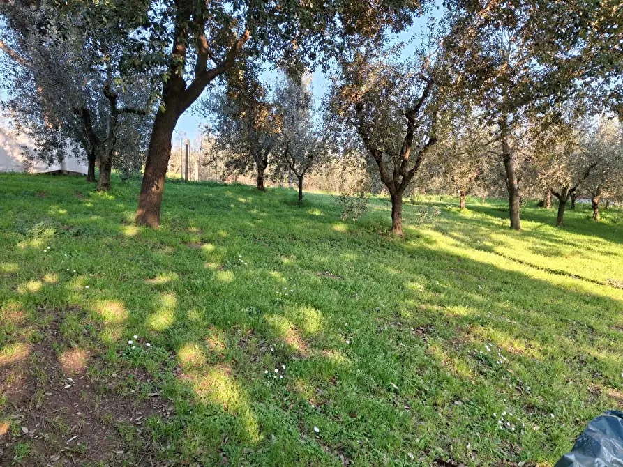 Immagine 20 di Porzione di casa in vendita  a Vinci