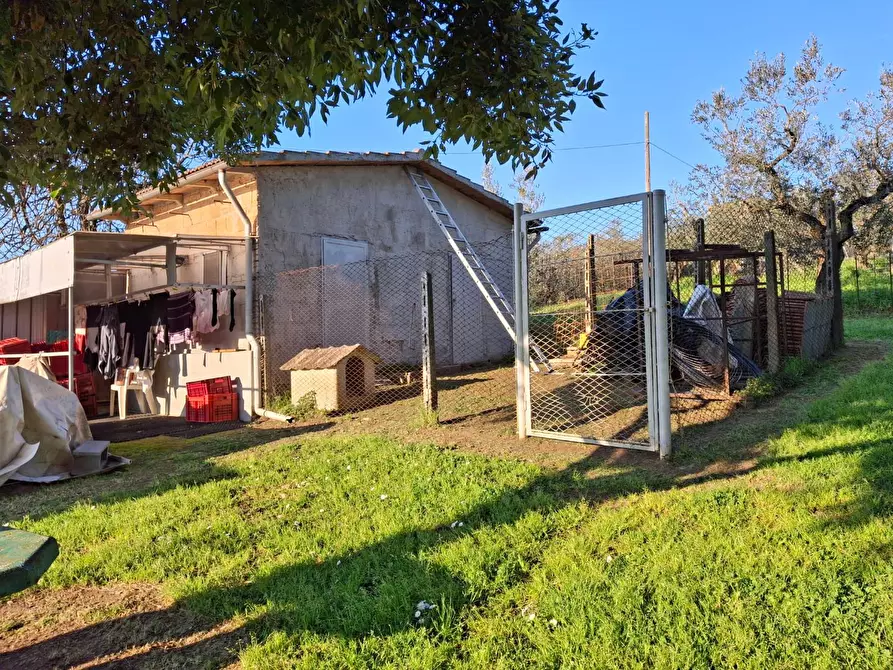 Immagine 28 di Porzione di casa in vendita  a Vinci
