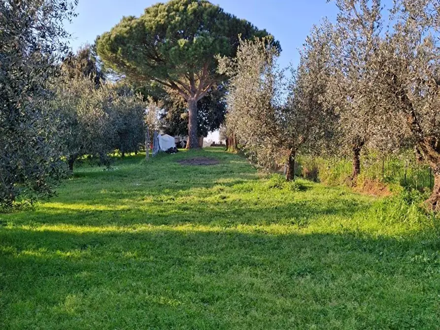 Immagine 25 di Porzione di casa in vendita  a Vinci