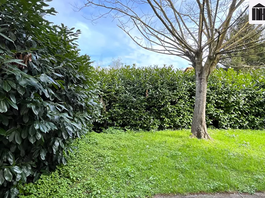 Immagine 34 di Terratetto in vendita  a Santa Croce Sull'arno