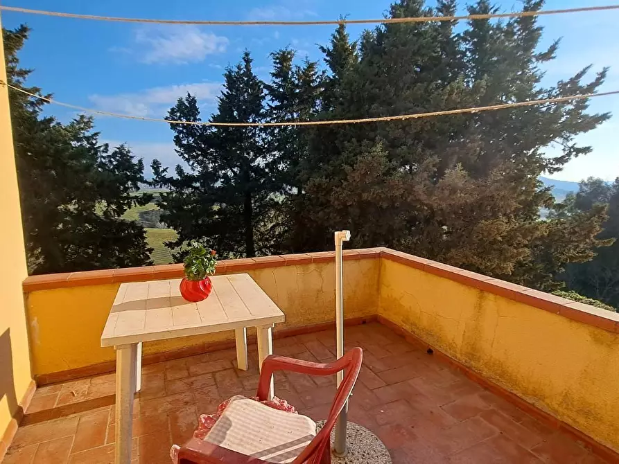 Immagine 3 di Appartamento in vendita  a Peccioli