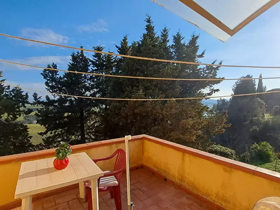 Immagine 4 di Appartamento in vendita  a Peccioli