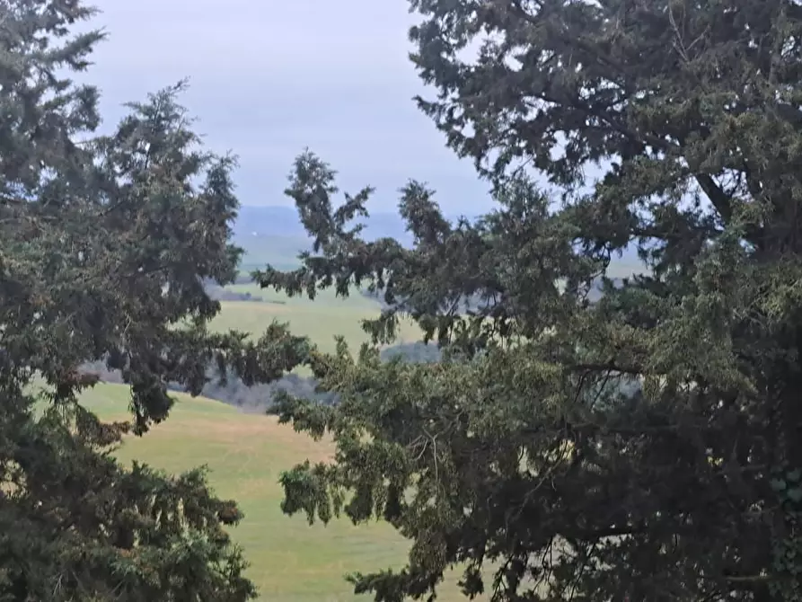 Immagine 17 di Appartamento in vendita  a Peccioli