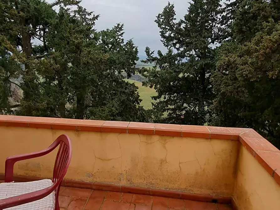 Immagine 15 di Appartamento in vendita  a Peccioli