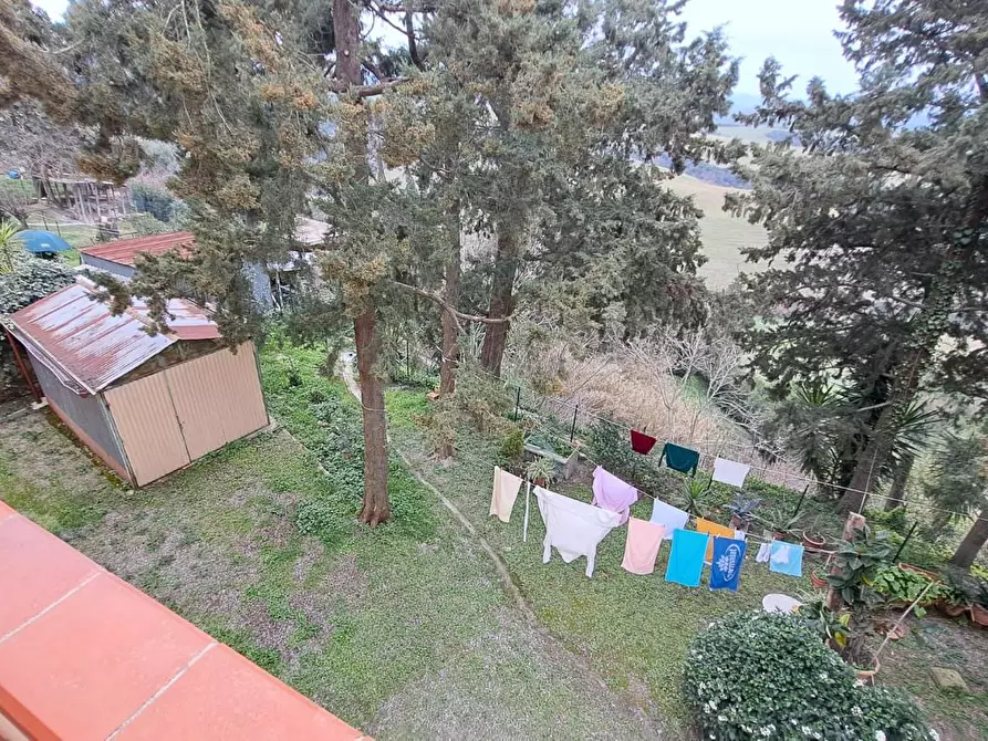 Immagine 18 di Appartamento in vendita  a Peccioli