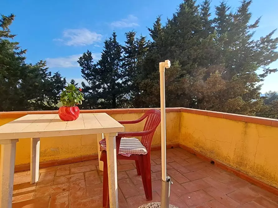 Immagine 2 di Appartamento in vendita  a Peccioli