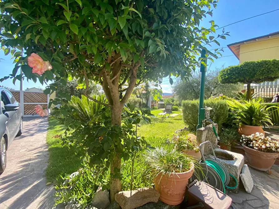 Immagine 2 di Casa bifamiliare in vendita  a Ortonovo