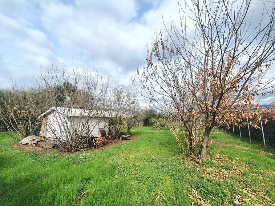 Immagine 57 di Villetta a schiera in vendita  a Lucca