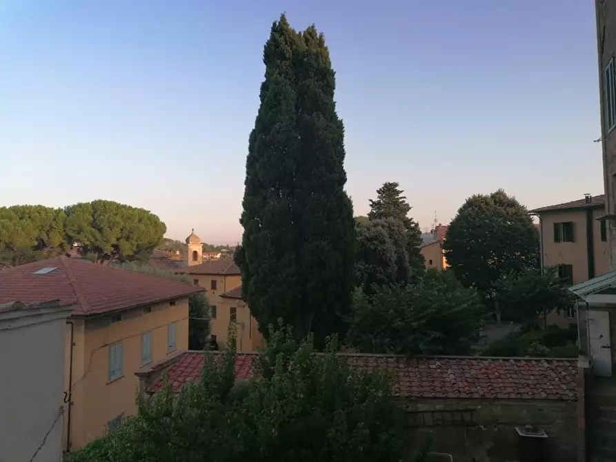 Immagine 11 di Appartamento in vendita  a Casciana Terme Lari