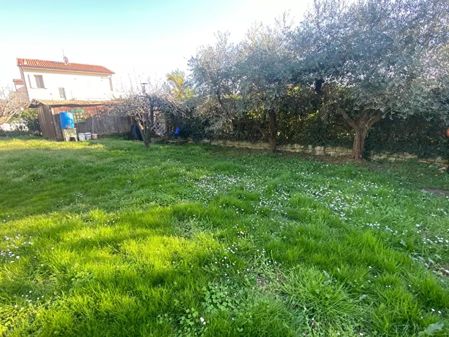 Immagine 5 di Villa in vendita  a San Giuliano Terme