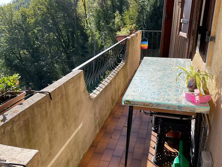 Immagine 22 di Casa indipendente in vendita  a Carrara