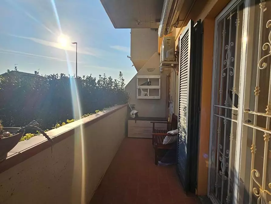 Immagine 4 di Casa bifamiliare in vendita  a Collesalvetti