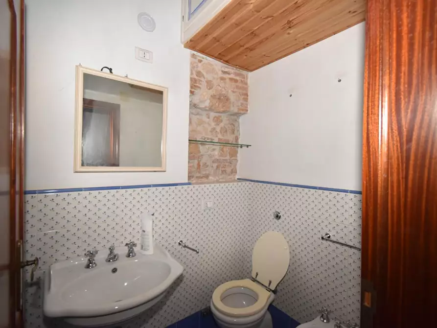 Immagine 22 di Appartamento in vendita  a San Giuliano Terme