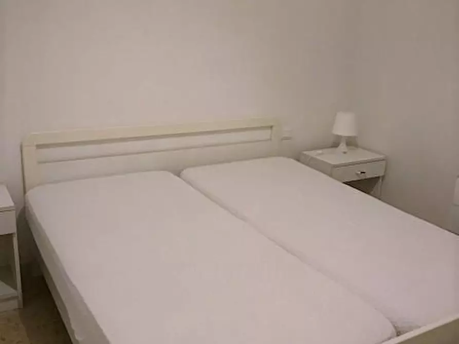 Immagine 15 di Appartamento in affitto  a Camaiore