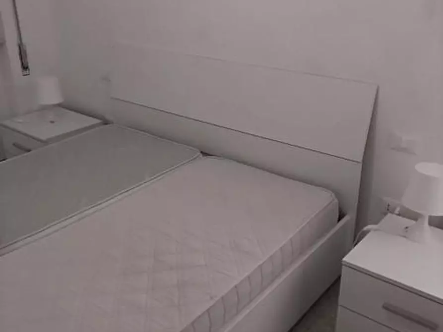 Immagine 21 di Appartamento in affitto  a Camaiore