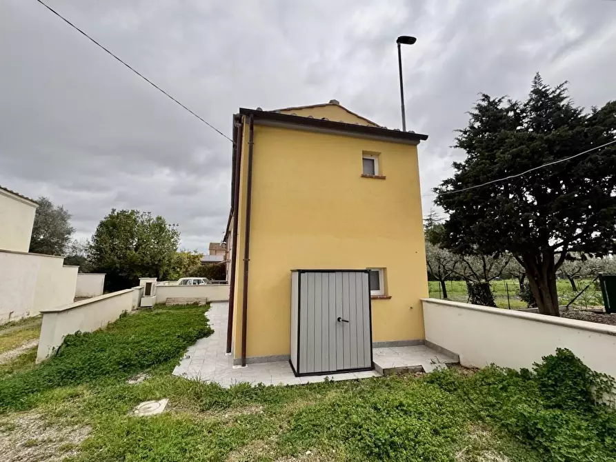 Immagine 2 di Terratetto in vendita  a San Giuliano Terme