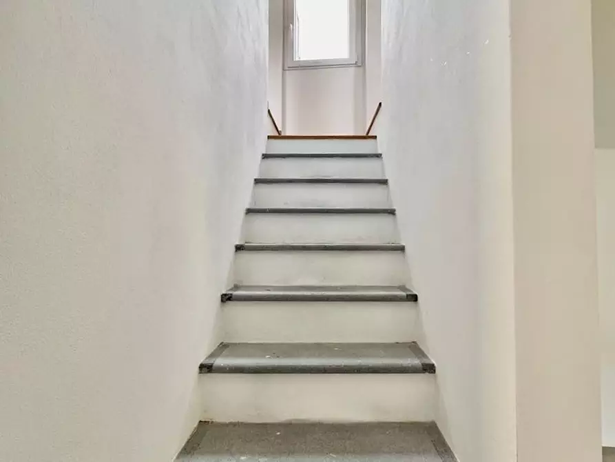 Immagine 12 di Terratetto in vendita  a San Giuliano Terme