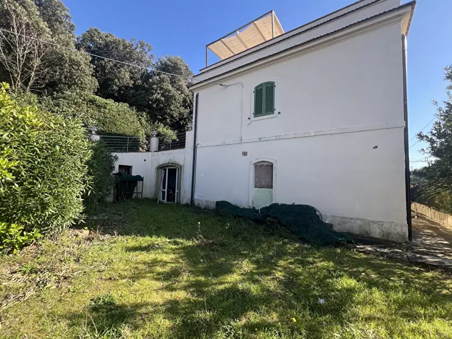 Immagine 1 di Appartamento in vendita  a Rosignano Marittimo