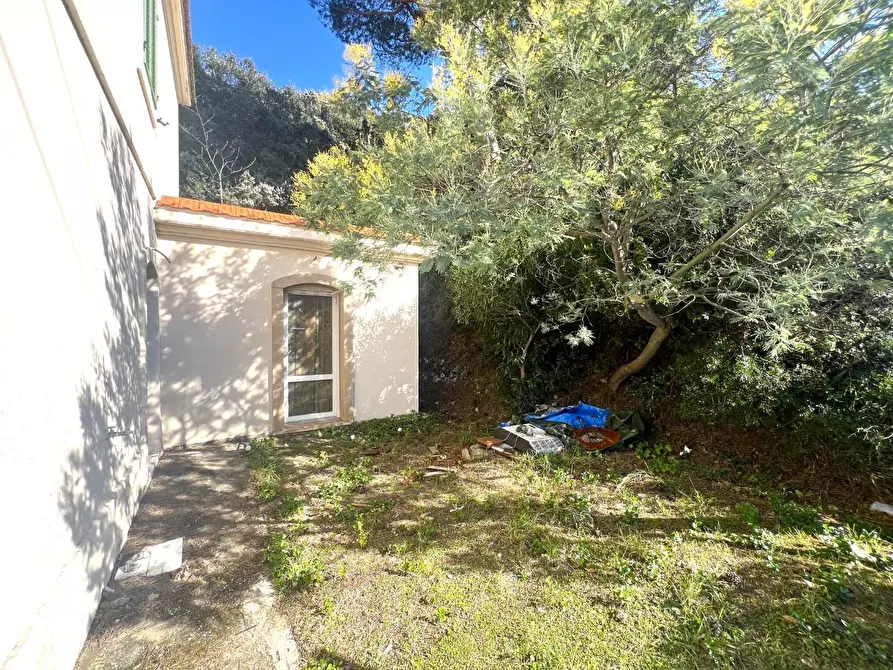 Immagine 4 di Appartamento in vendita  a Rosignano Marittimo