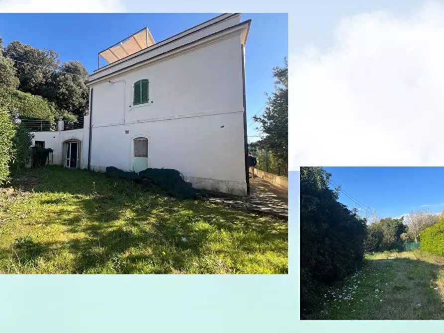 Immagine 2 di Appartamento in vendita  a Rosignano Marittimo