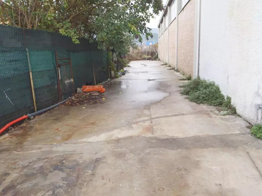 Immagine 27 di Attività artigianale in vendita  a Camaiore