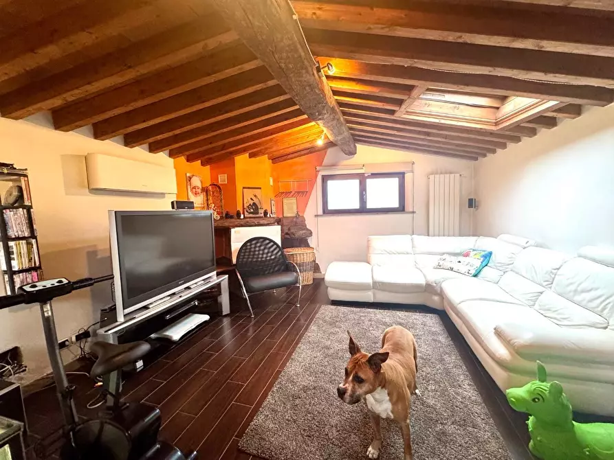 Immagine 21 di Casa semindipendente in vendita  a Massa