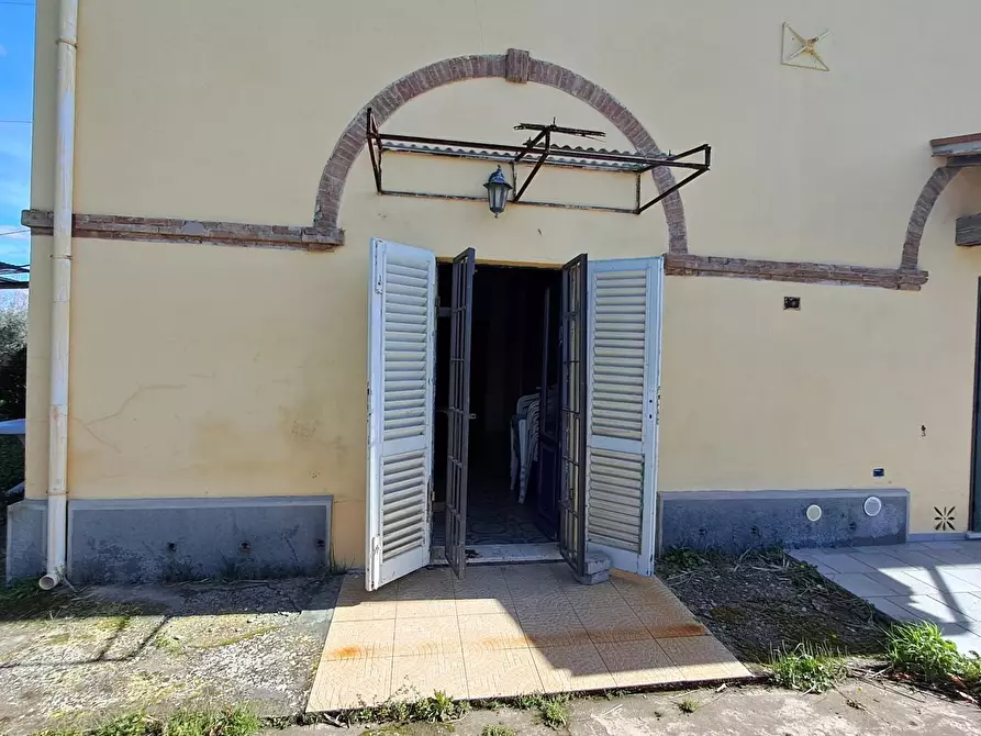 Immagine 16 di Appartamento in vendita  a Bibbona