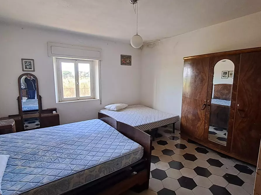 Immagine 11 di Appartamento in vendita  a Bibbona