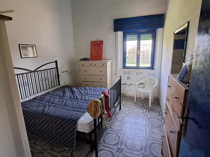 Immagine 8 di Appartamento in vendita  a Bibbona