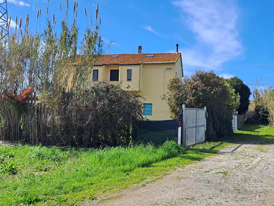 Immagine 18 di Appartamento in vendita  a Bibbona