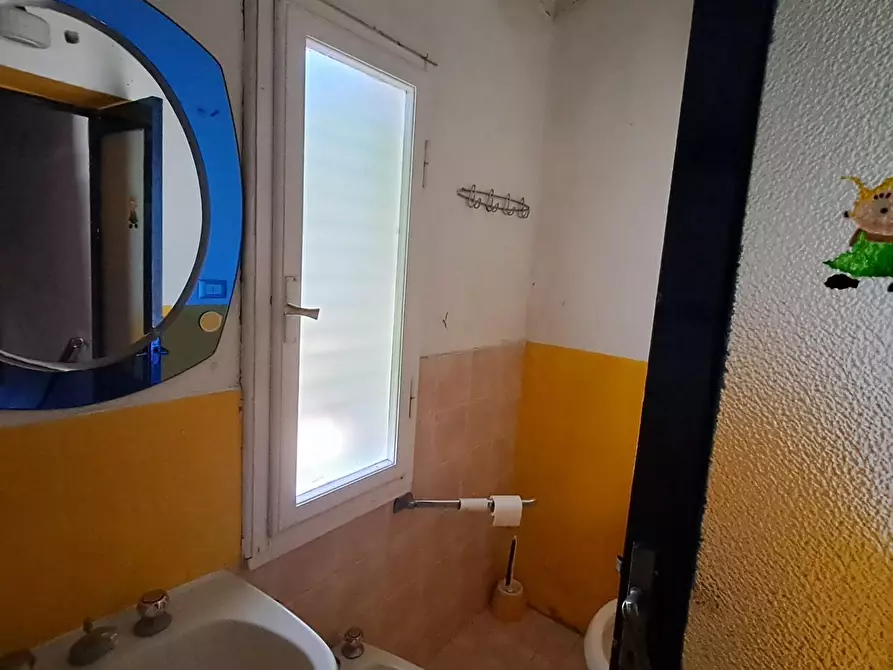 Immagine 14 di Appartamento in vendita  a Bibbona