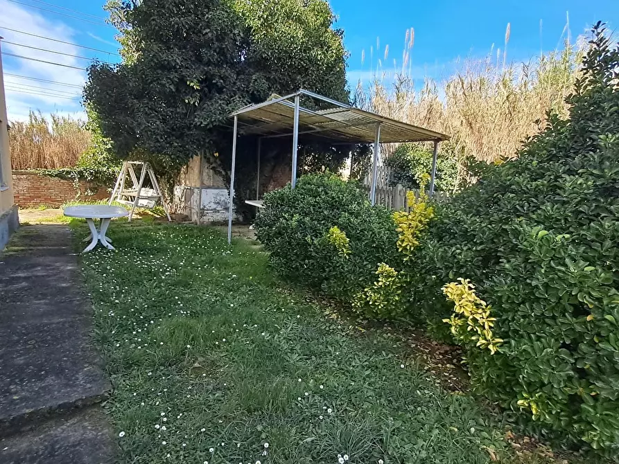 Immagine 17 di Appartamento in vendita  a Bibbona