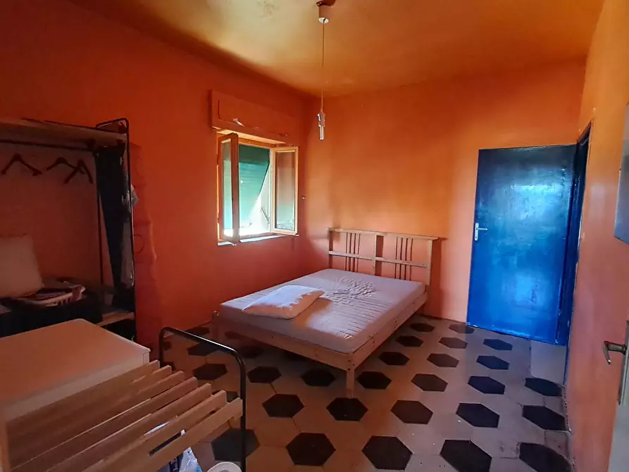 Immagine 9 di Appartamento in vendita  a Bibbona