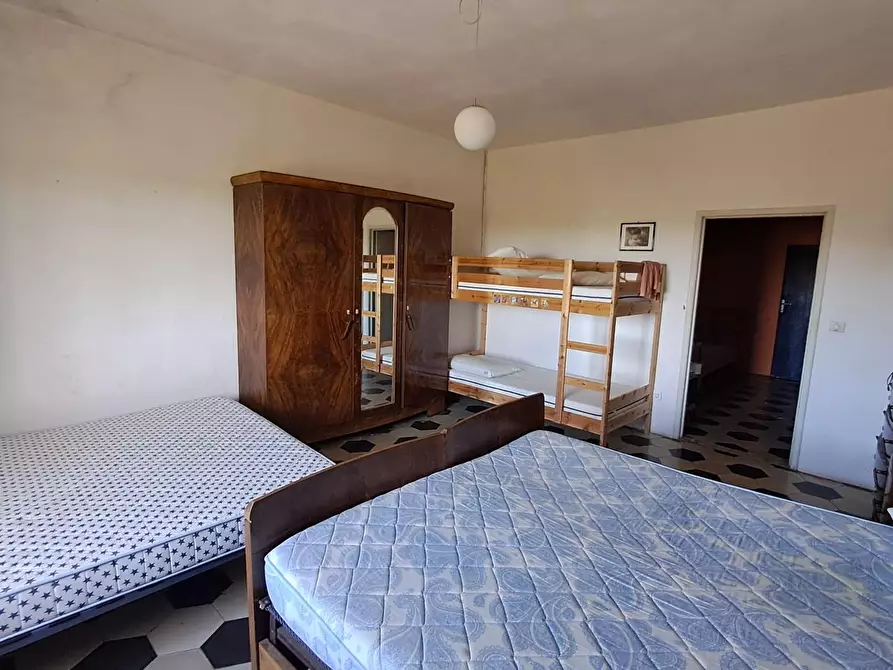 Immagine 13 di Appartamento in vendita  a Bibbona