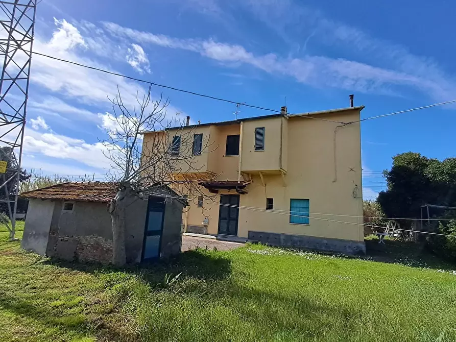 Immagine 3 di Appartamento in vendita  a Bibbona