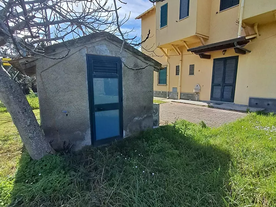 Immagine 4 di Appartamento in vendita  a Bibbona