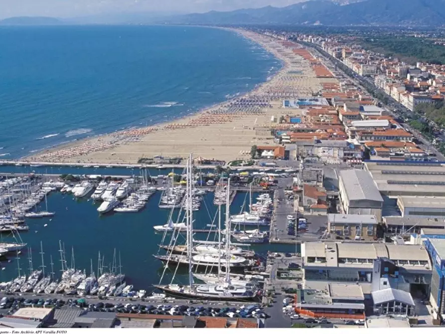 Immagine 21 di Appartamento in affitto  a Viareggio