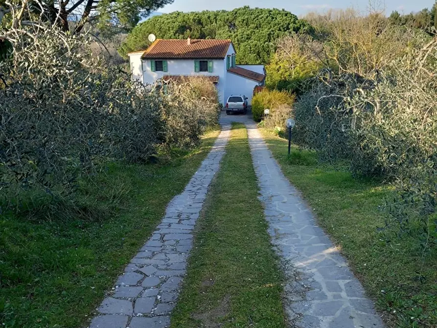 Immagine 5 di Rustico / casale in vendita  a Pisa