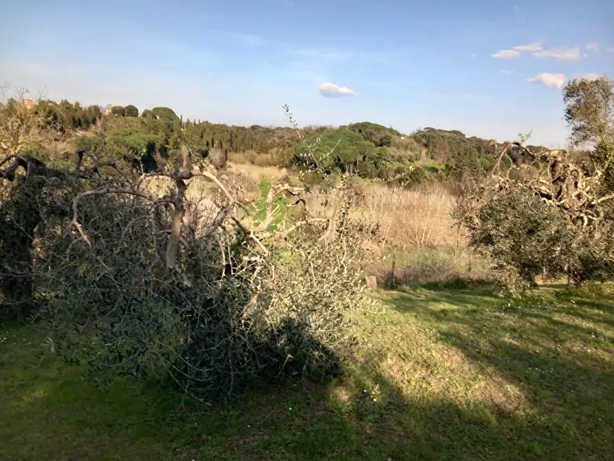 Immagine 19 di Rustico / casale in vendita  a Pisa