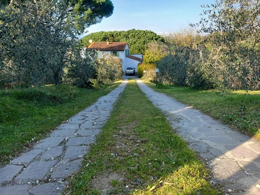 Immagine 12 di Rustico / casale in vendita  a Pisa